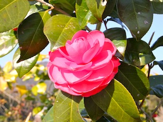 f0213347_21454735.jpg