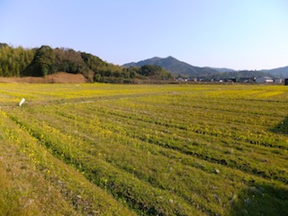 f0213347_2482343.jpg