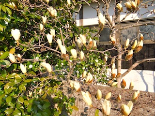f0213347_2493452.jpg