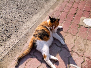f0213347_2522741.jpg