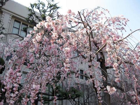 e0056050_22271192.jpg
