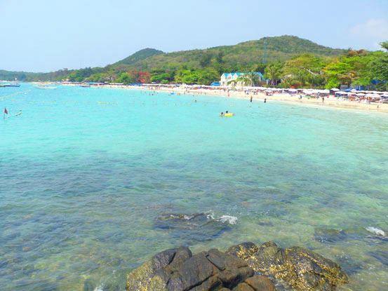 c0185657_1216.jpg