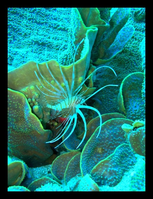 b0062363_20535368.jpg