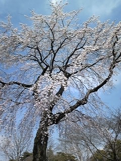 f0222164_16202428.jpg