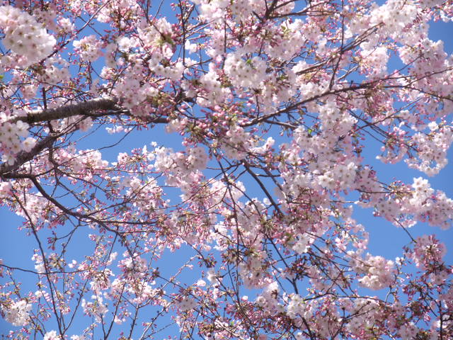 c0115366_20103075.jpg