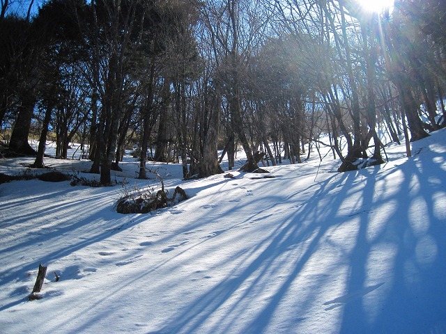 c0219866_18504770.jpg