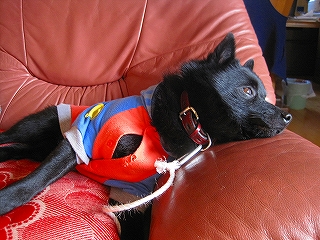 e0002466_20105810.jpg