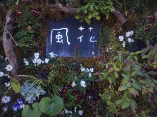 c0031467_20123324.jpg