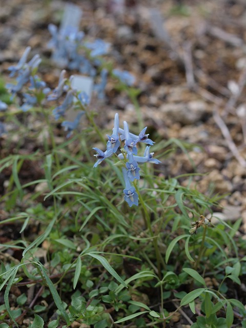 d0025568_1711840.jpg