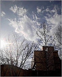 a0050669_2322646.jpg