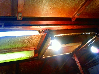 f0175369_55092.jpg