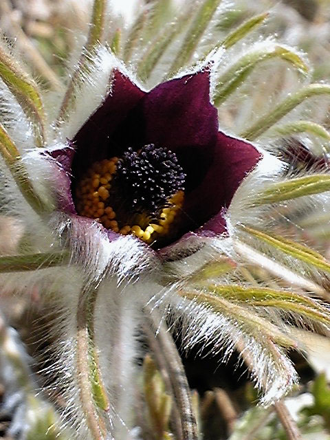 e0118274_22502132.jpg