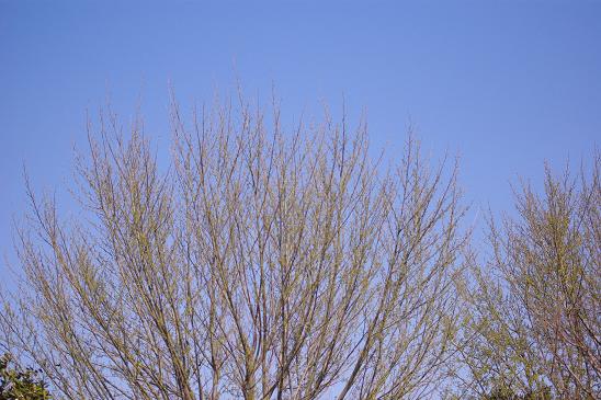 c0182782_2211980.jpg