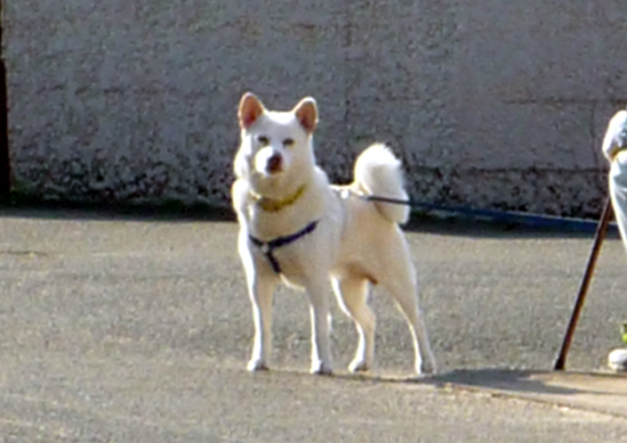c0125283_953515.jpg