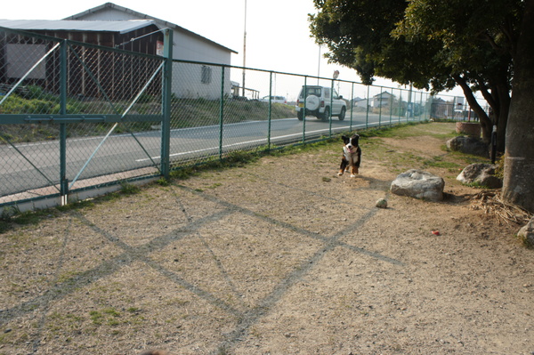 d0065484_16511.jpg