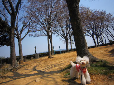 b0104592_2148759.jpg