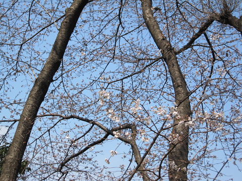 b0104592_21501759.jpg