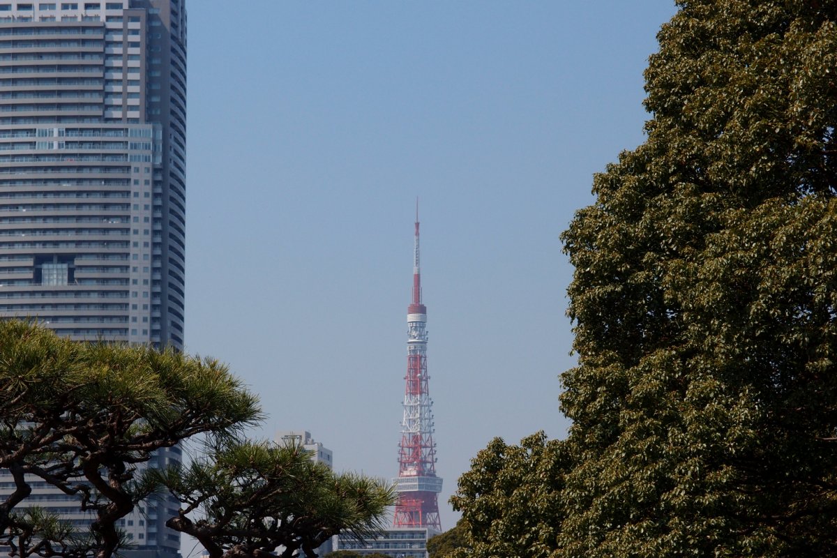c0124795_751126.jpg