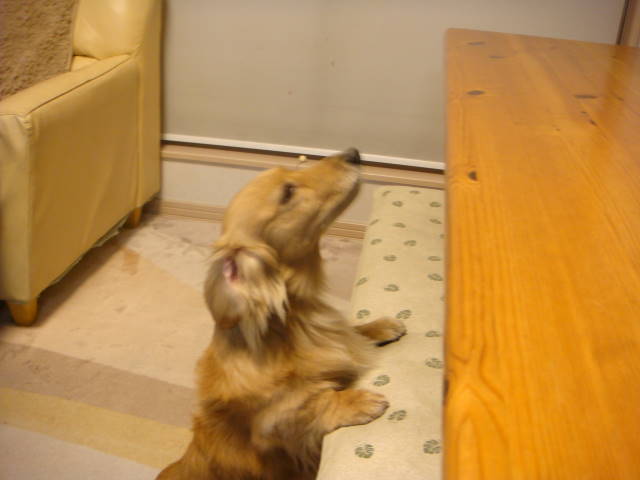 d0098295_23281697.jpg