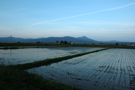 f0136096_20591317.jpg