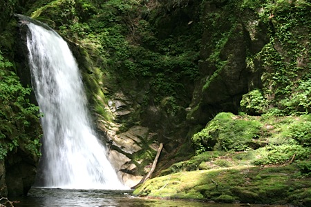 f0136096_2059371.jpg
