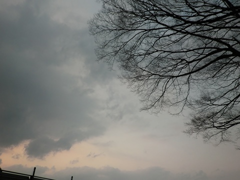 a0138198_10205466.jpg