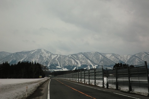 a0138198_10441382.jpg