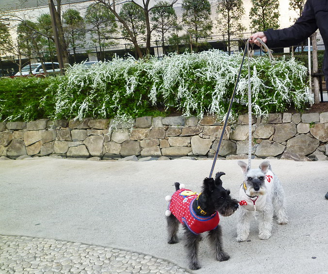 c0138198_11201498.jpg