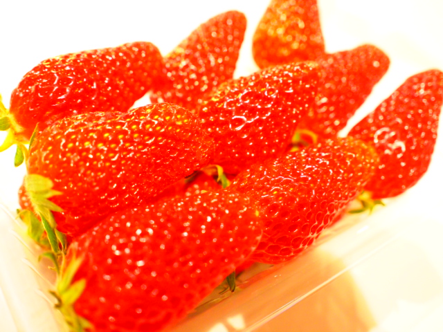 d0170799_23362988.jpg