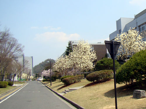 a0047200_10545860.jpg