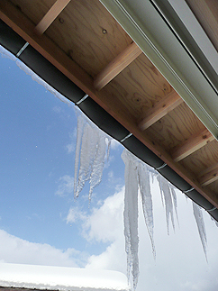 b0014003_133147100.jpg