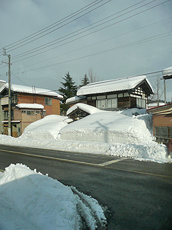 b0014003_1332319.jpg