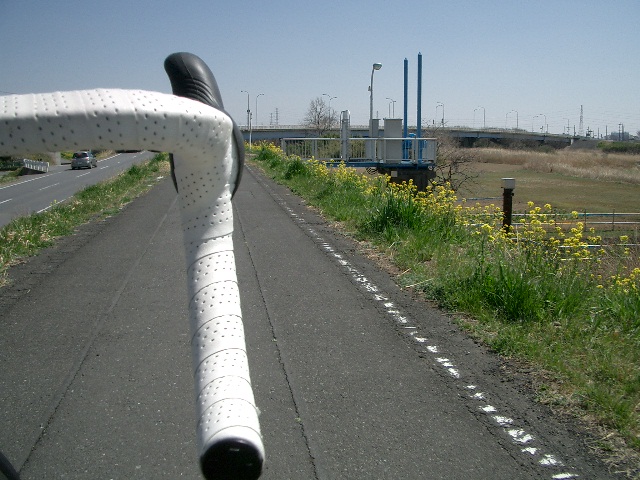 d0171706_1834683.jpg
