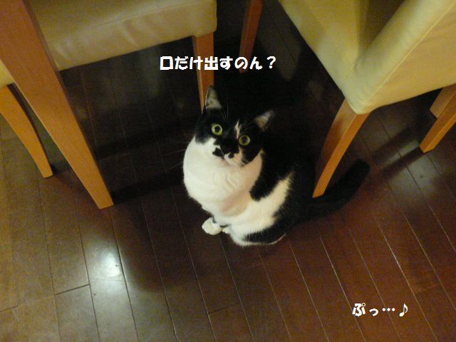 e0094407_1201646.jpg