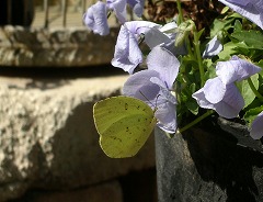 c0190010_20433041.jpg