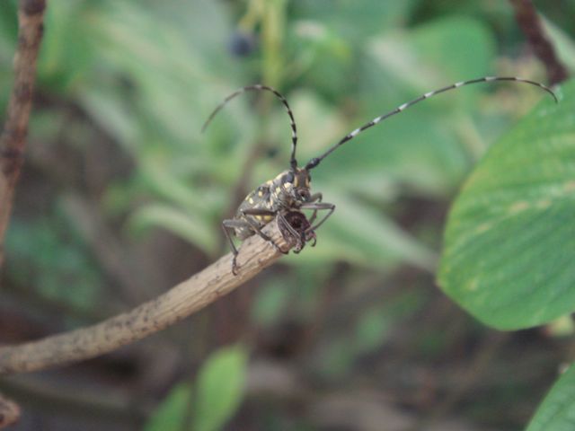 f0217617_1985010.jpg