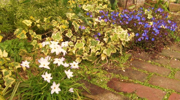 c0204121_9395235.jpg