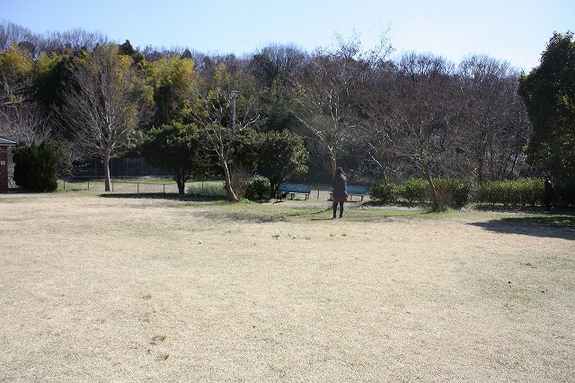 e0162524_1221688.jpg