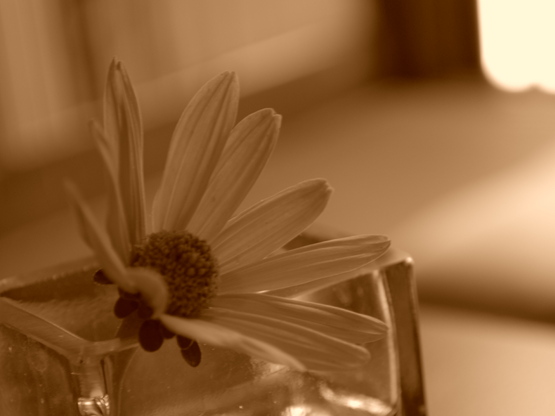 f0238332_16412764.jpg