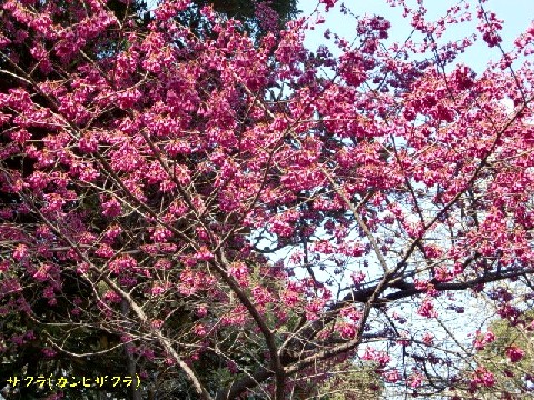 b0012636_624210.jpg