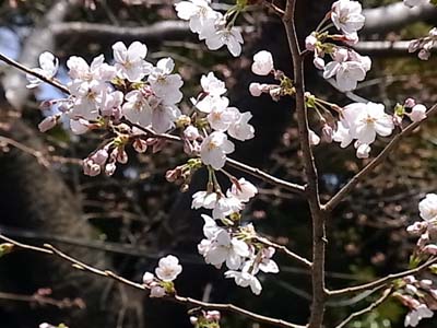 b0019140_13595019.jpg