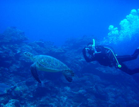 f0014842_144334.jpg
