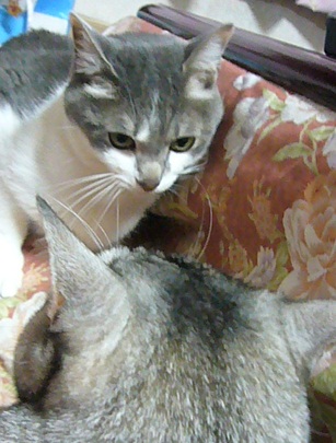 f0002743_1411665.jpg