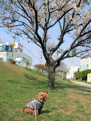 c0033145_02817.jpg