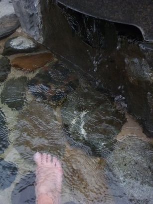 f0039446_20355475.jpg