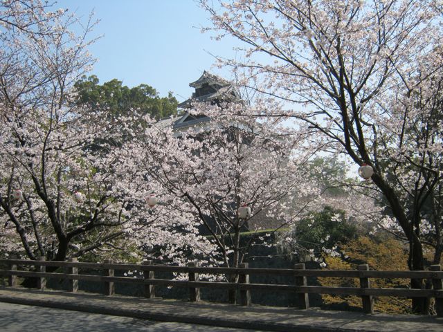 c0222651_1753723.jpg