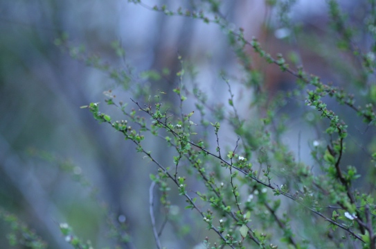 c0186463_18194890.jpg