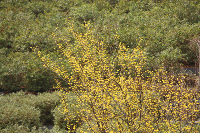 c0183164_21164094.jpg