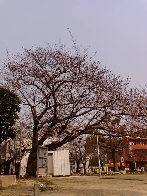 e0206464_11464986.jpg