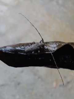 b0178466_8431333.jpg
